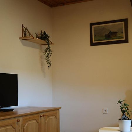 Mountain View Apartments - Pr' Potovcn'K Dovje Buitenkant foto