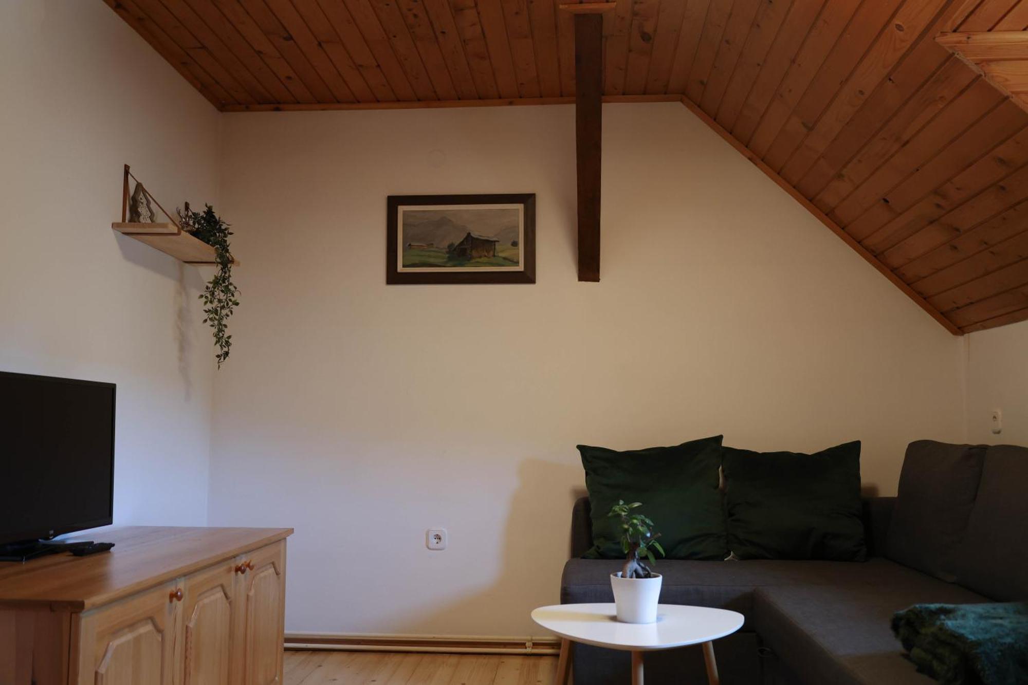 Mountain View Apartments - Pr' Potovcn'K Dovje Buitenkant foto