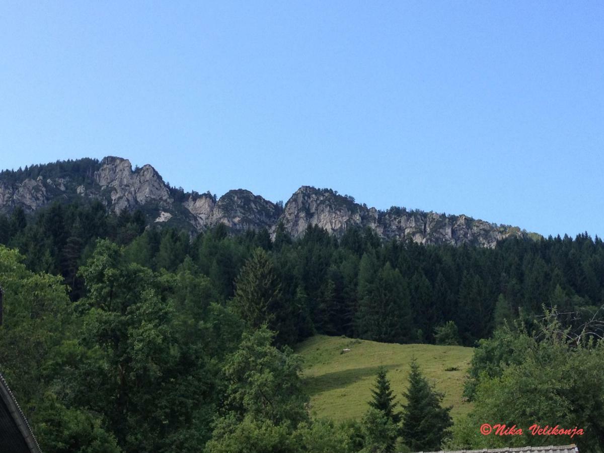 Mountain View Apartments - Pr' Potovcn'K Dovje Buitenkant foto